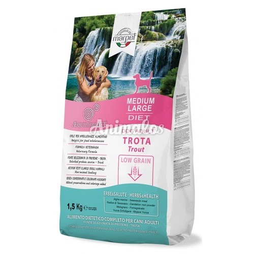 אקוליבריה דג פורל חלבון יחיד 12 ק"ג